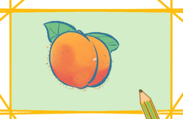 Simple drawing of nutritious yellow peach