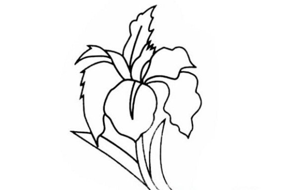 Beautiful simple drawing of two small flowers