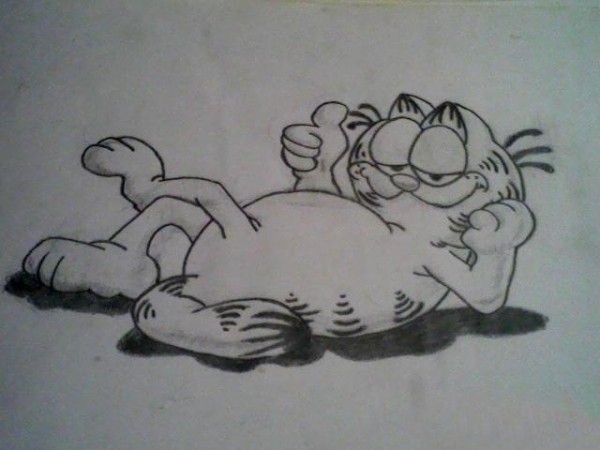 Childrens Comics Garfield the Cat Who Loves to Eat