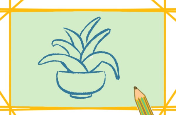 How to draw an aloe vera potted plant