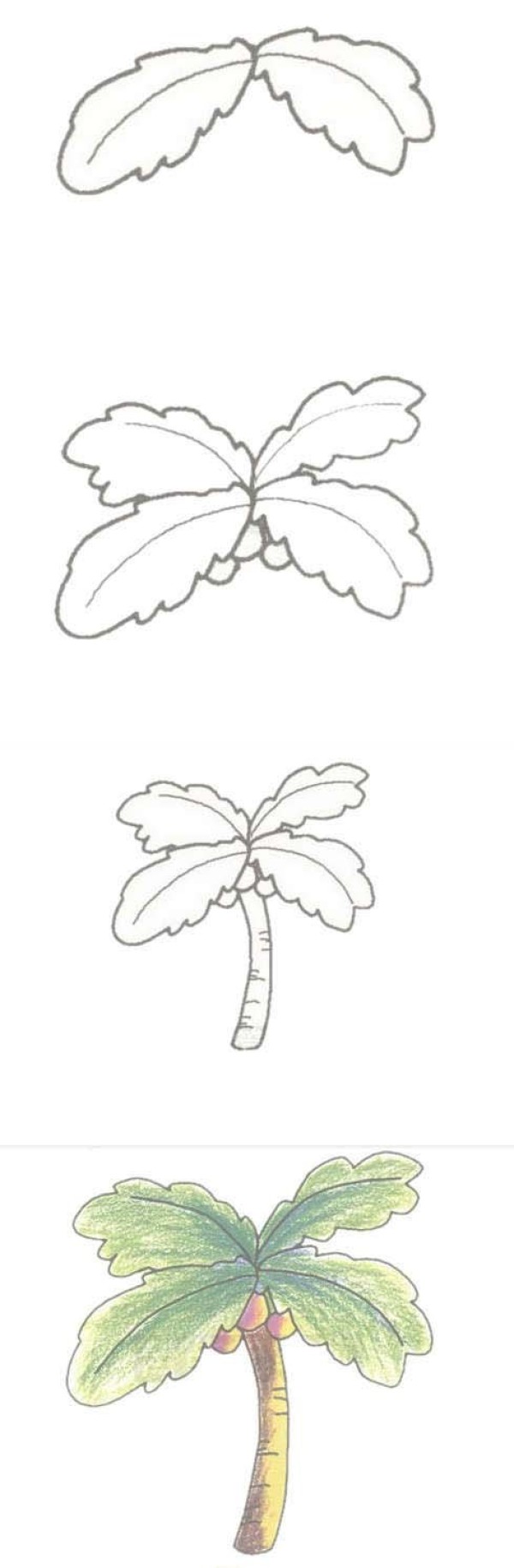 Hand drawn coconut tree simple strokes