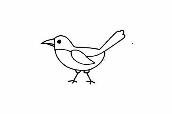 Very popular simple drawing of magpie