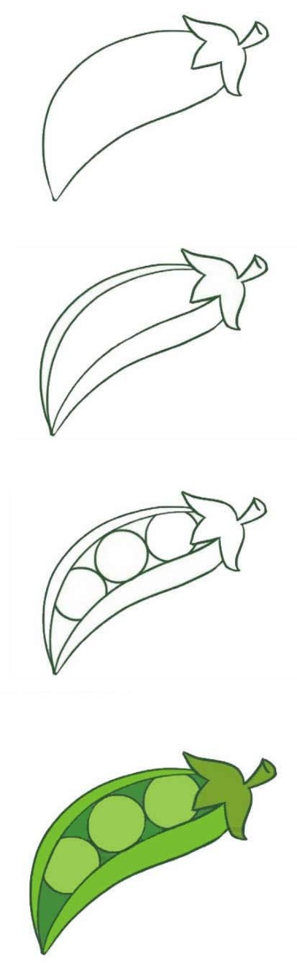 How to draw peas step by step with color