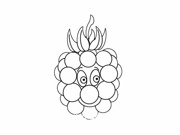 How to draw red raspberries