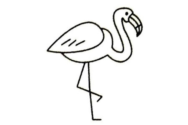 Complete collection of flamingo simple strokes and drawing steps