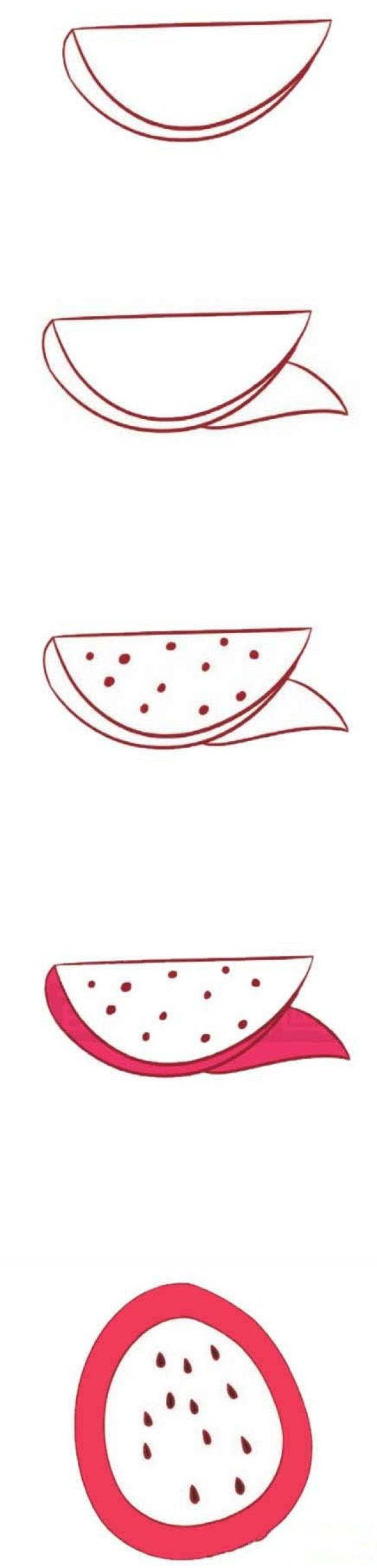 Simple drawing of delicious dragon fruit