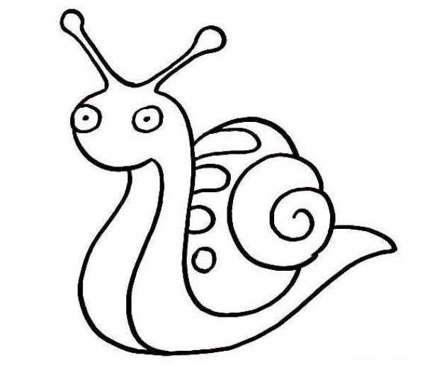 How to draw a cute little snail