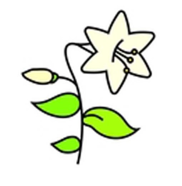 Childrens simple drawing pictures of colored lilies