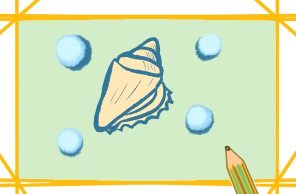 How to draw beautiful conch