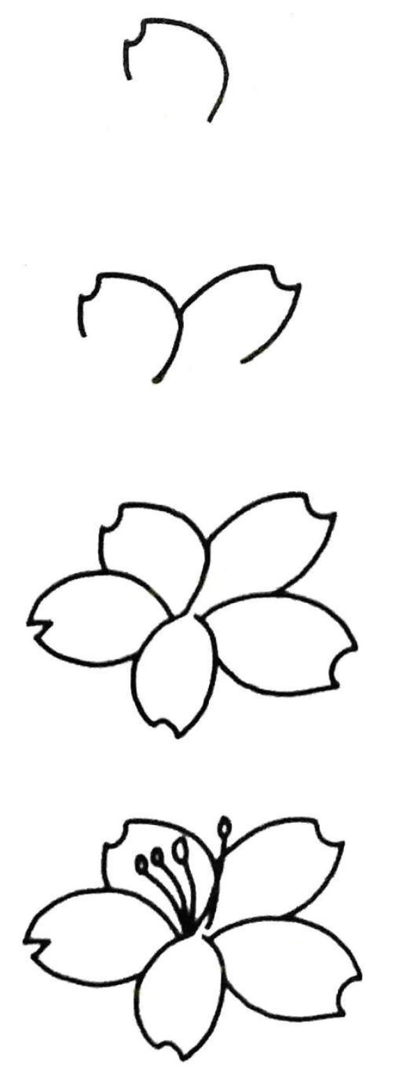 Simple drawing of a cherry blossom