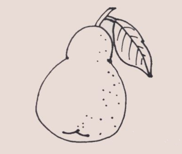 Simple drawing of pear