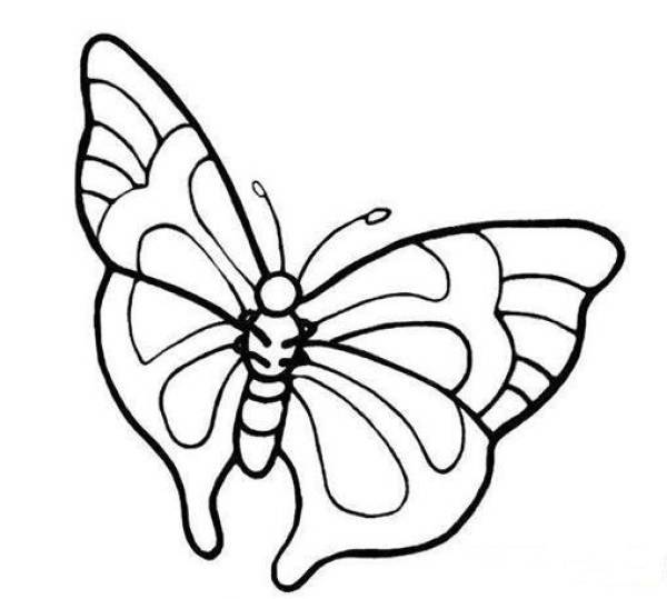 Hand drawn simple strokes of flowers and butterflies