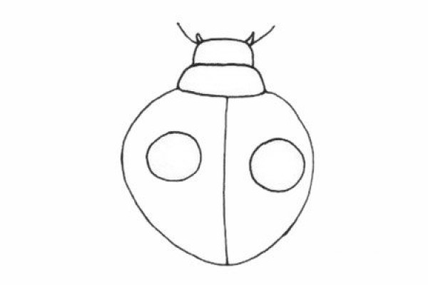 How to draw a simple beetle