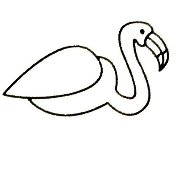 Complete collection of flamingo simple strokes and drawing steps