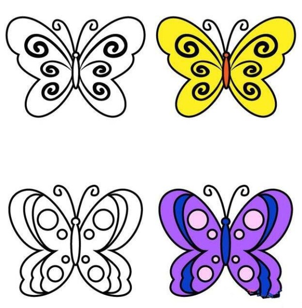 How to draw colorful flowers and butterflies