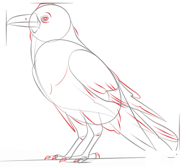 How to Draw a Crow Simple Drawing