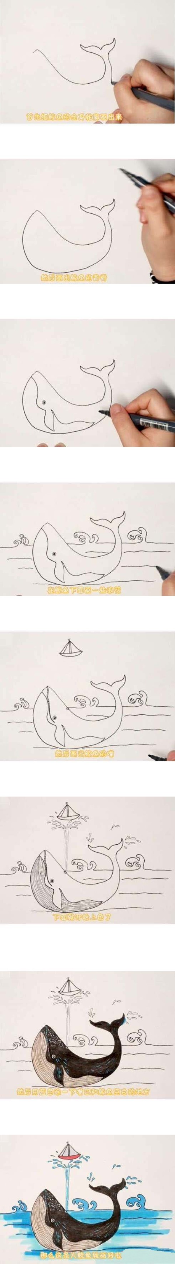 How to draw a spouting whale