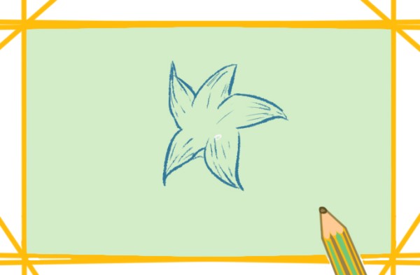 How to draw a pure lily