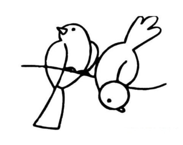 How to draw two flying birds