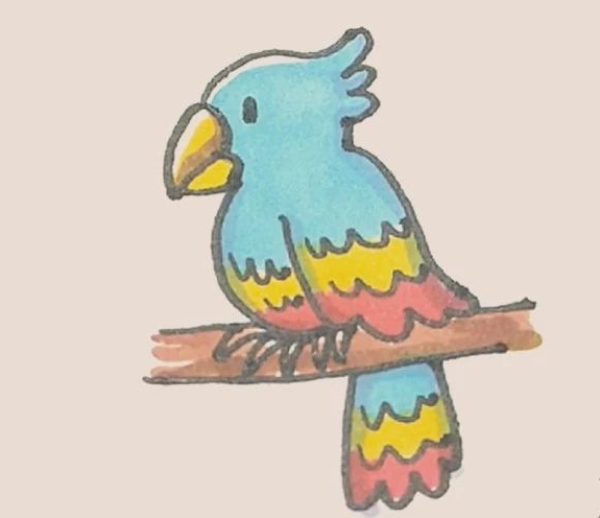 Simple drawing of parrot