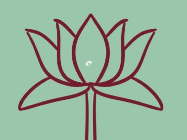 Simple drawing of pink lotus