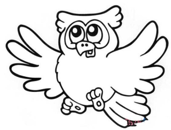 How to draw a coloring owl