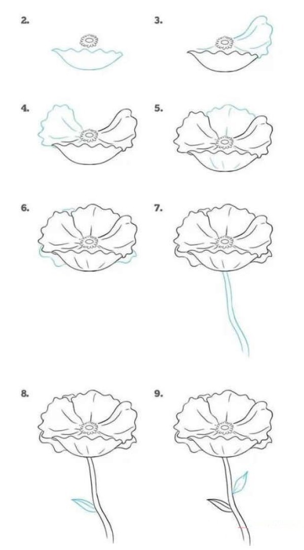 Simple strokes of red chrysanthemum