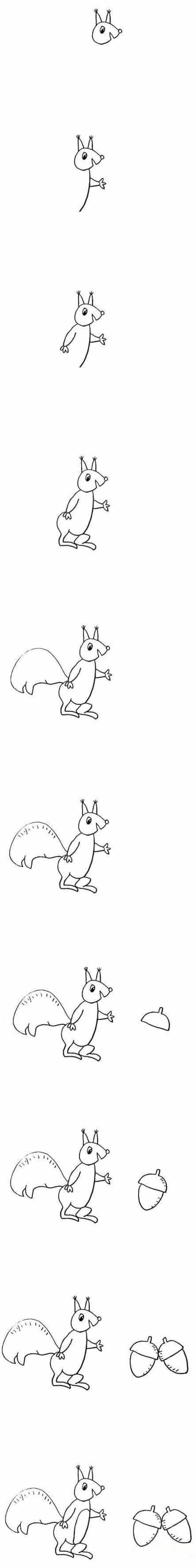 How to draw a squirrel eating nuts