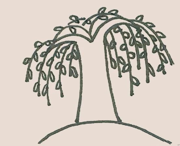 Simple drawing of willow tree