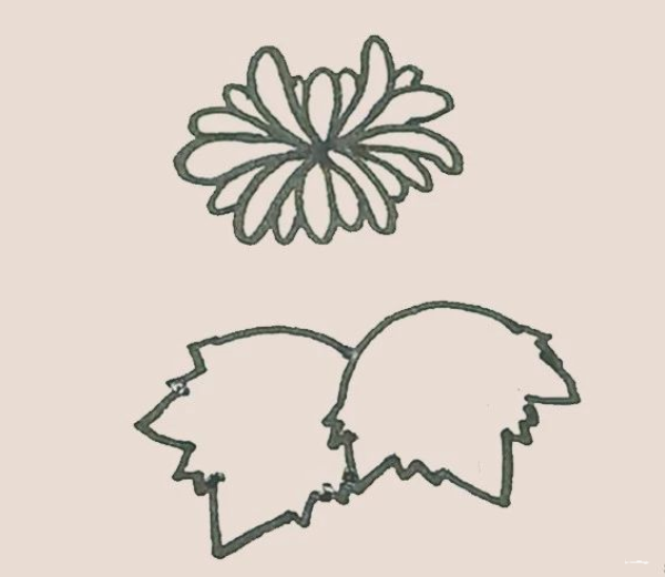 Simple drawing of chrysanthemum