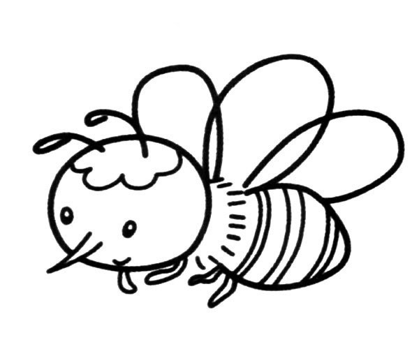 Cute Cartoon Bee Simple Drawing Picture