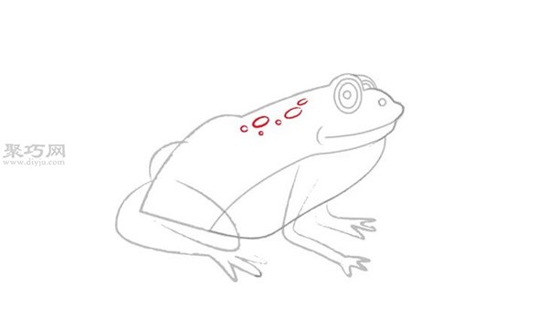 How to draw a frog step by step Teach you how to draw a frog