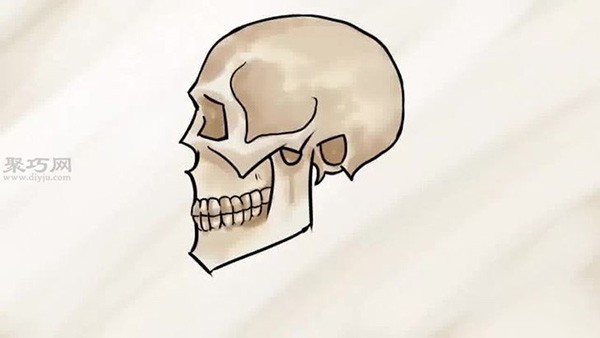 Steps of how to draw a skull sideways. Learn how to draw a skull together.