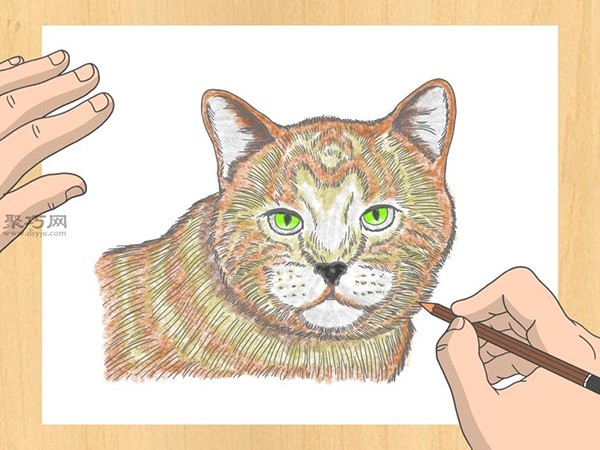 How to draw a good drawing. Steps to draw a pencil sketch of a cat.