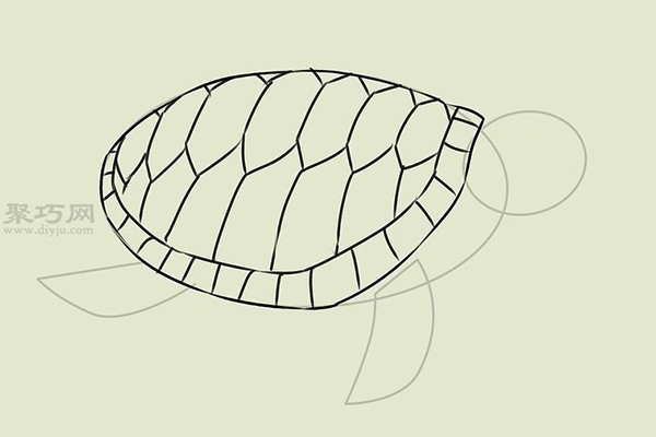 Steps to draw a real turtle. Let’s look at the steps to draw a turtle.