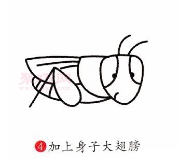 How to draw a grasshopper simple and beautiful. Teach you step by step how to draw a grasshopper in simple strokes.