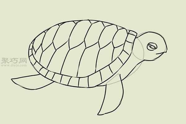 Steps to draw a real turtle. Let’s look at the steps to draw a turtle.