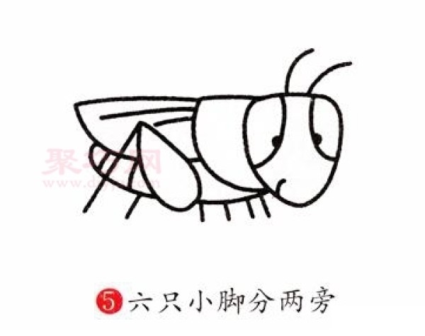 How to draw a grasshopper simple and beautiful. Teach you step by step how to draw a grasshopper in simple strokes.