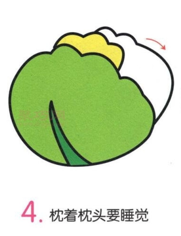 6 simple steps to draw cabbage