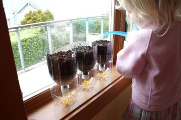 Coke bottle handmade DIY self-watering flowerpot