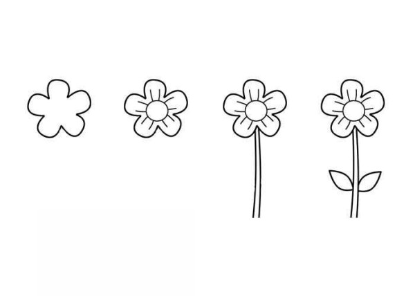 Simple drawing steps and coloring tutorial of small flowers