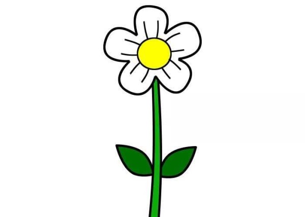 Simple drawing steps and coloring tutorial of small flowers