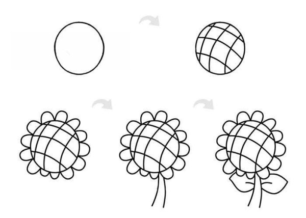 Sunflower simple strokes include step-by-step drawing methods