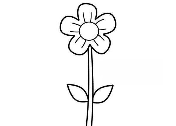 Simple drawing steps and coloring tutorial of small flowers