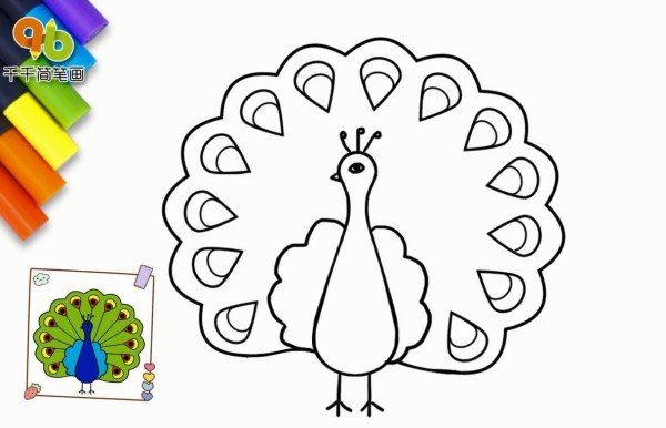 Simple drawing of beautiful and proud peacock