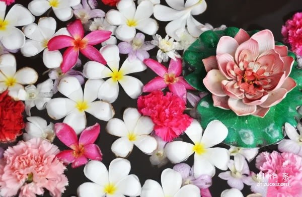 To learn flower arrangement skills, this article is enough to collect!