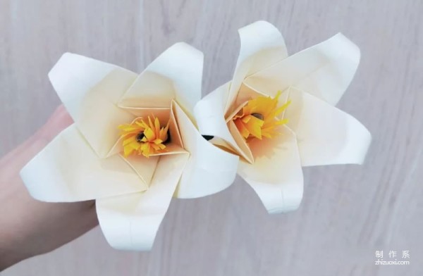 Easily fold out lilies~