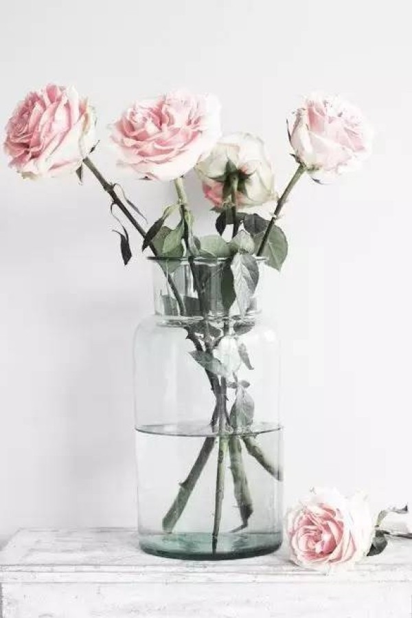 How to choose a vase for flower arrangement? Remember these few tips!