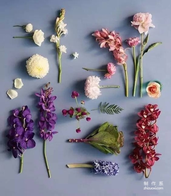 Three ways to make dried flowers