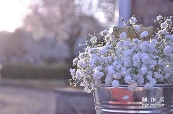 How to arrange flowers in a large-diameter vase Flower arrangement skills in a large-diameter vase